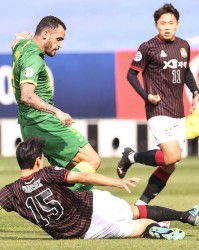  哈兰德连续五轮破门势不可挡  